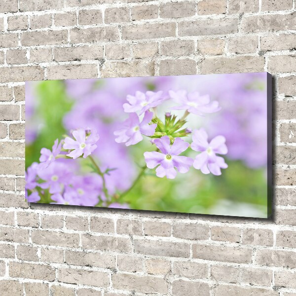 Canvas wall art Verbena