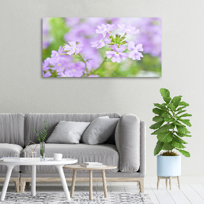 Canvas wall art Verbena