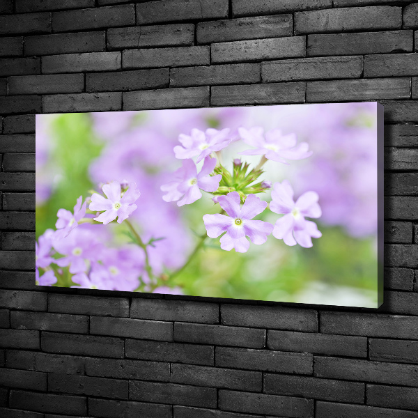 Canvas wall art Verbena