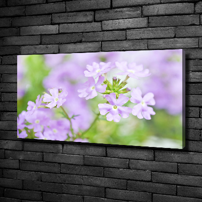 Canvas wall art Verbena