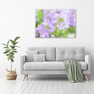 Canvas wall art Verbena