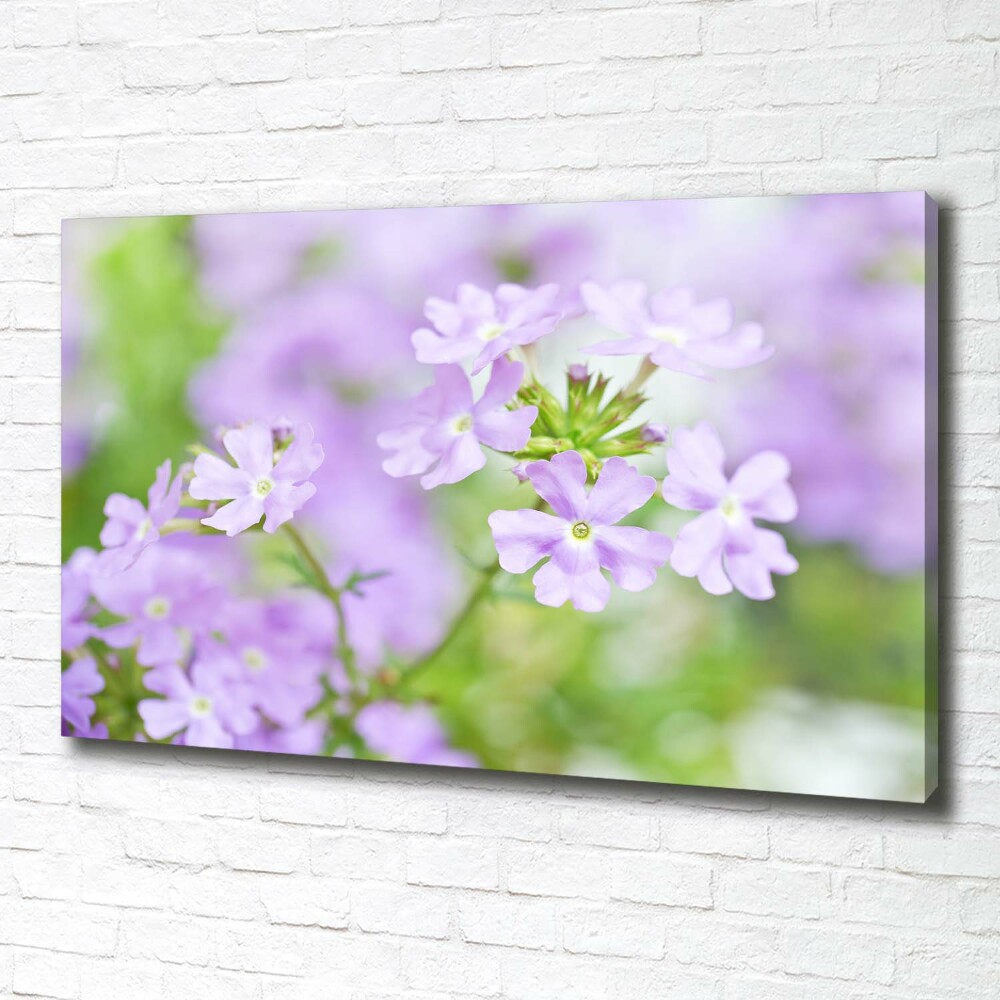 Canvas wall art Verbena