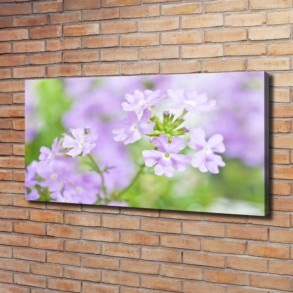 Canvas wall art Verbena