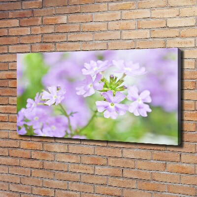 Canvas wall art Verbena