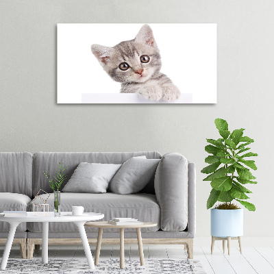 Canvas wall art Gray cat