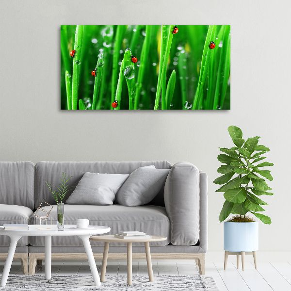 Canvas wall art Ladybugs on the grass