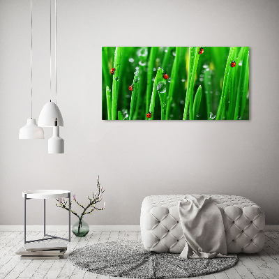 Canvas wall art Ladybugs on the grass