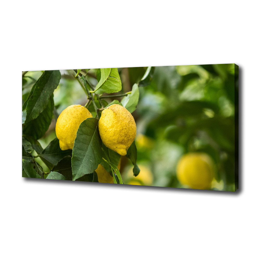 Canvas wall art Lemons on a tree