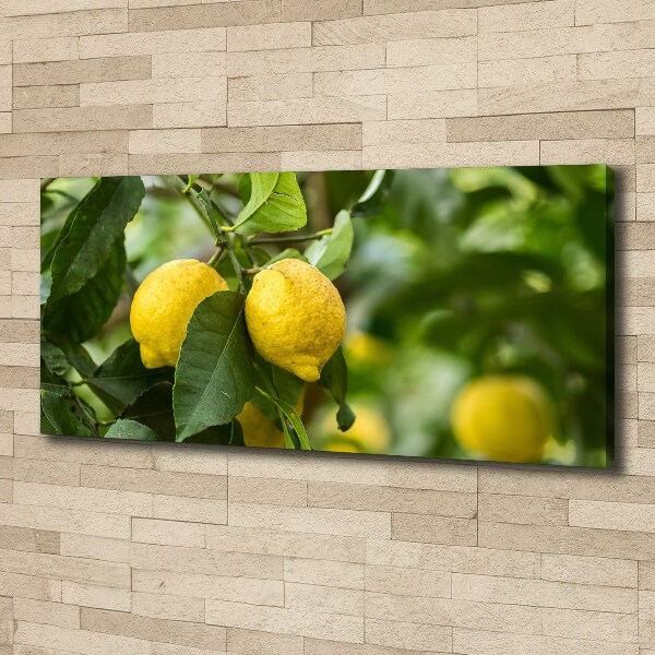 Canvas wall art Lemons on a tree