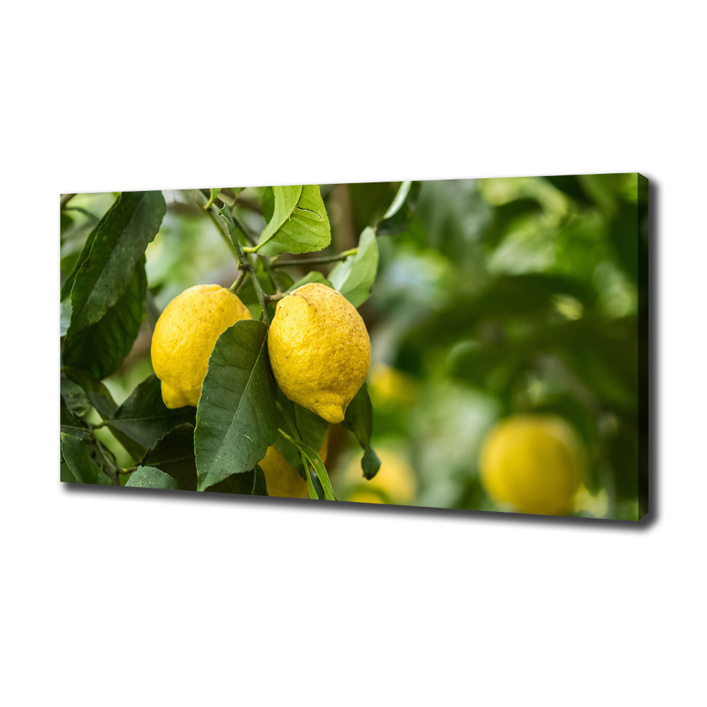 Canvas wall art Lemons on a tree