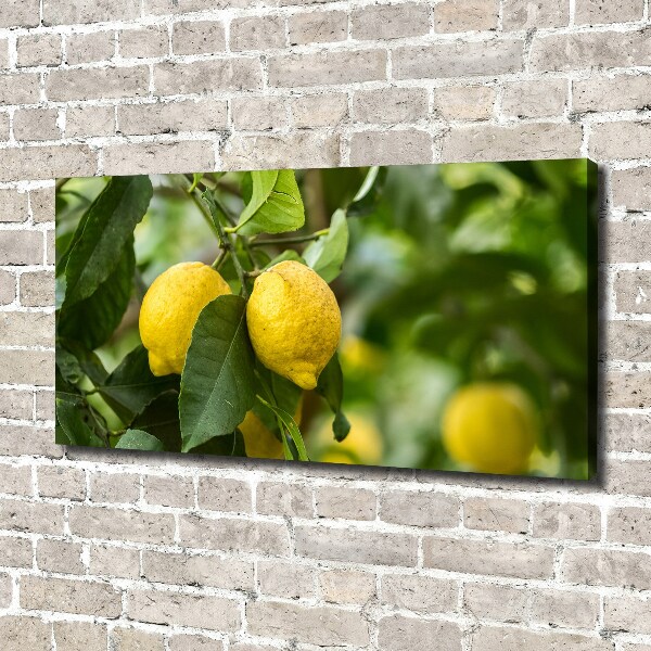 Canvas wall art Lemons on a tree