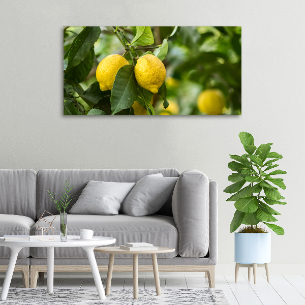 Canvas wall art Lemons on a tree