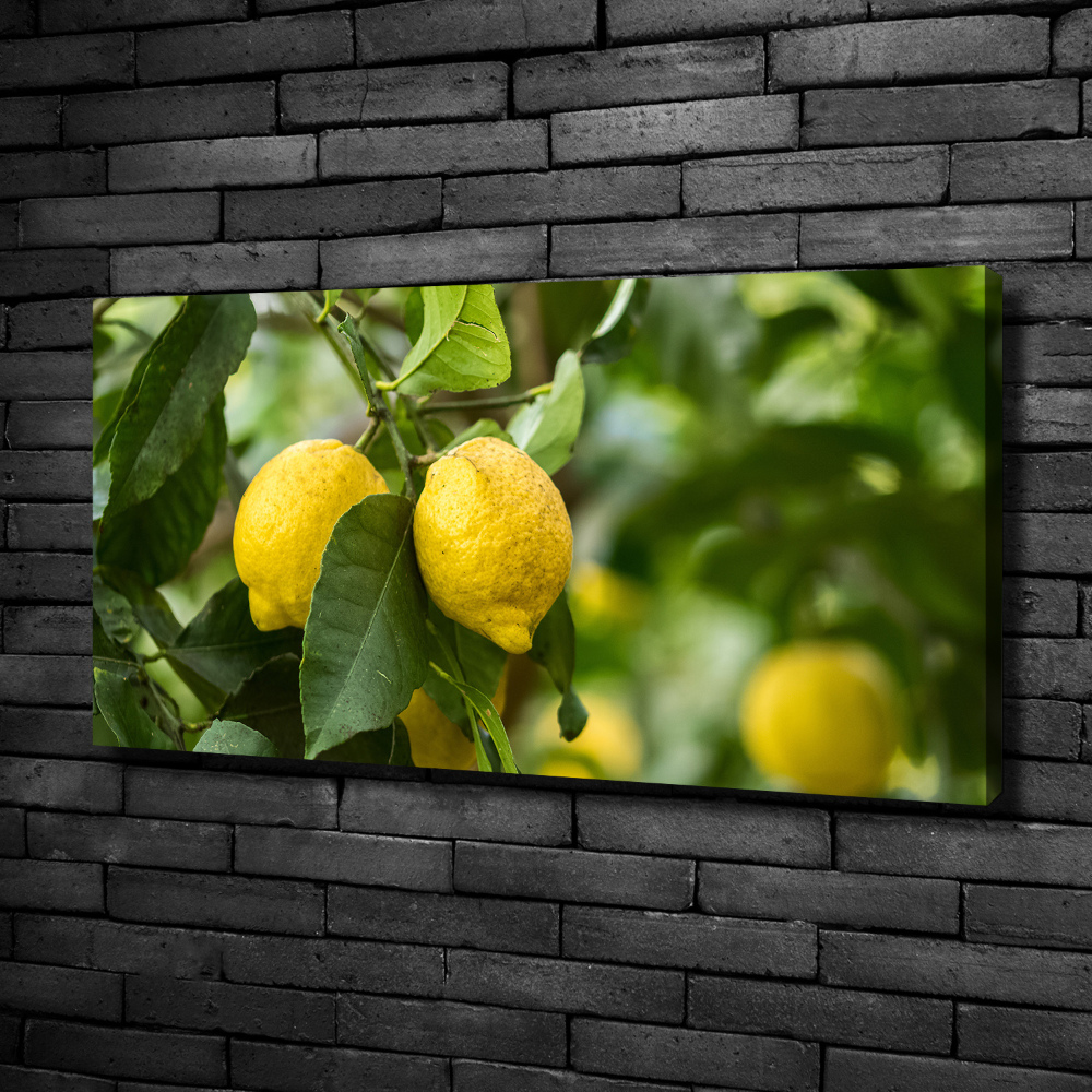 Canvas wall art Lemons on a tree