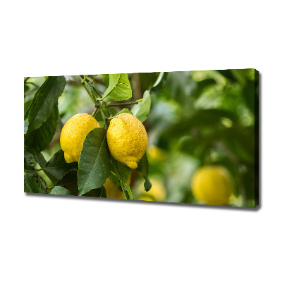 Canvas wall art Lemons on a tree