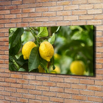 Canvas wall art Lemons on a tree