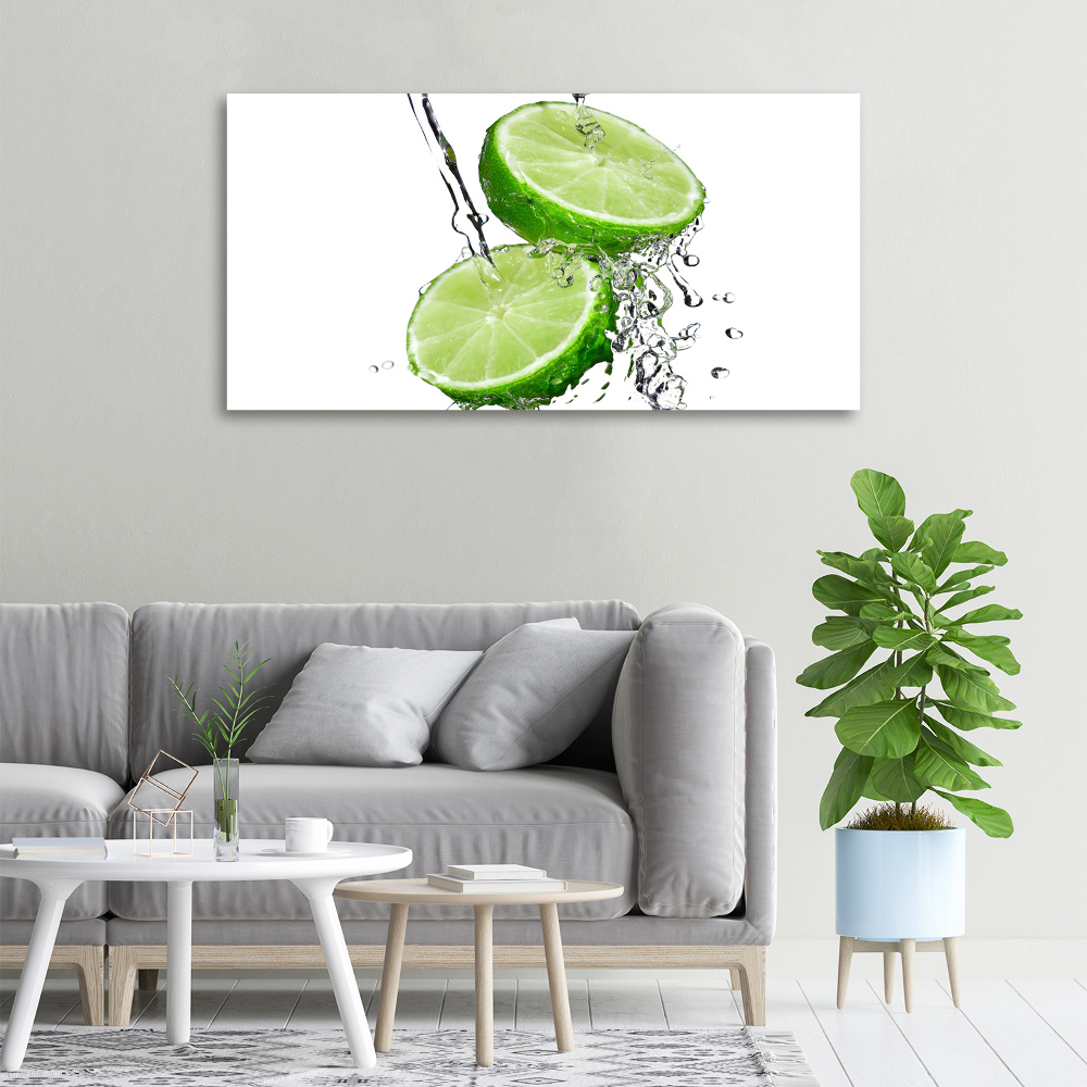 Canvas wall art Lime and water