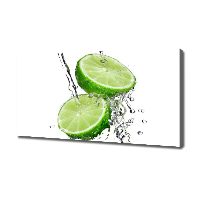 Canvas wall art Lime and water