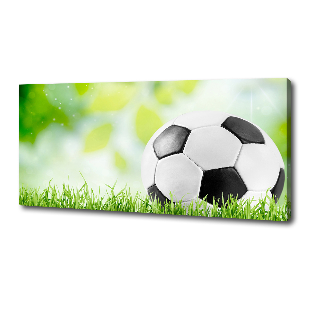 Canvas wall art Football