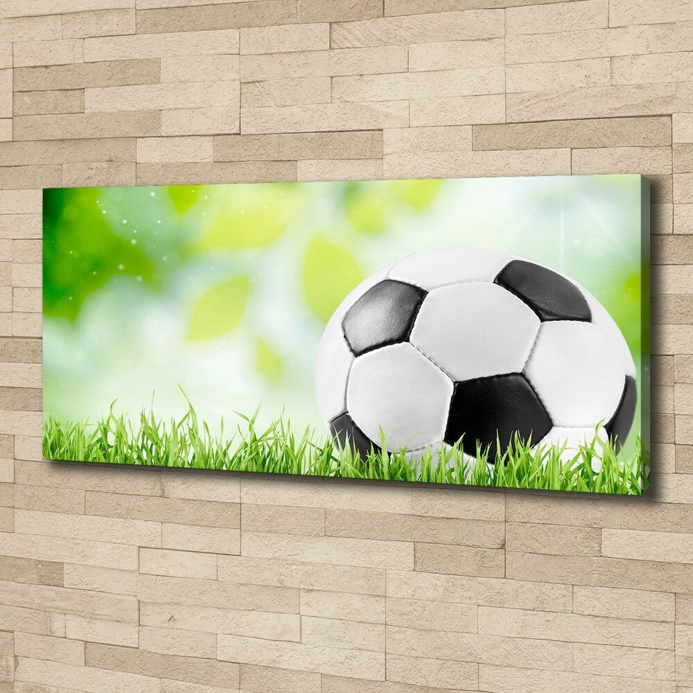 Canvas wall art Football