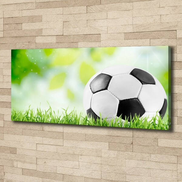 Canvas wall art Football