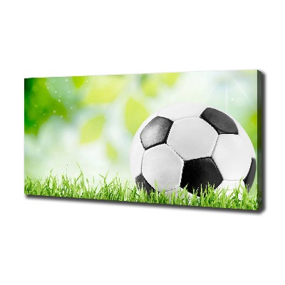 Canvas wall art Football