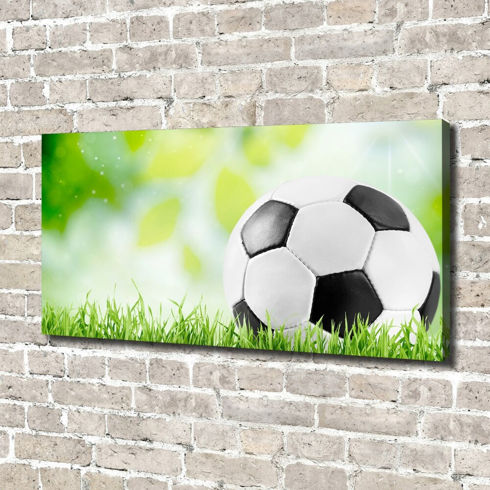 Canvas wall art Football