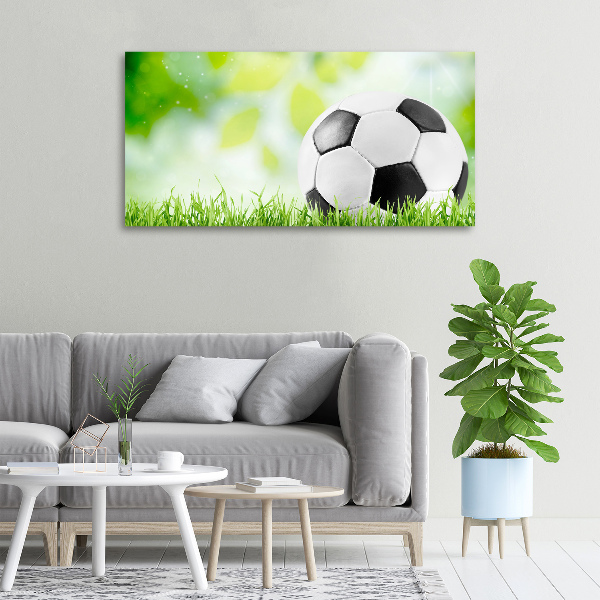 Canvas wall art Football