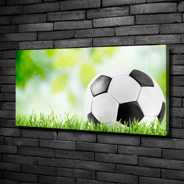 Canvas wall art Football