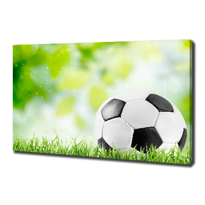 Canvas wall art Football