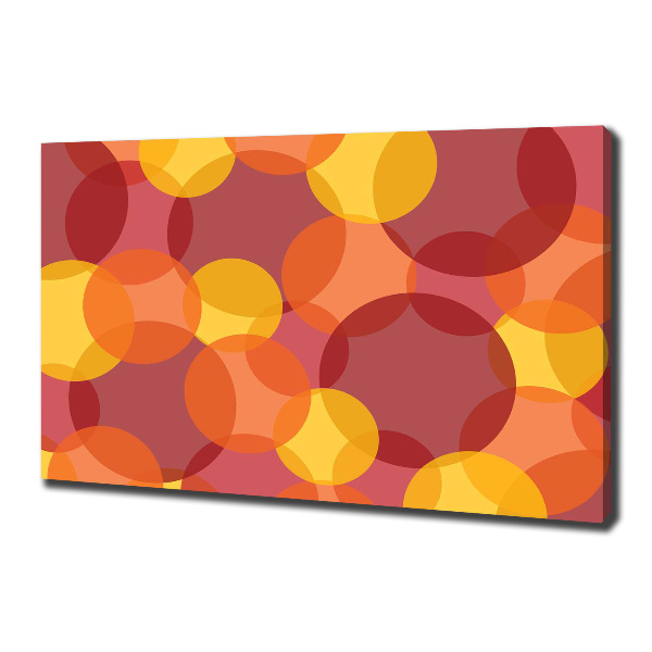 Canvas wall art Colorful wheels