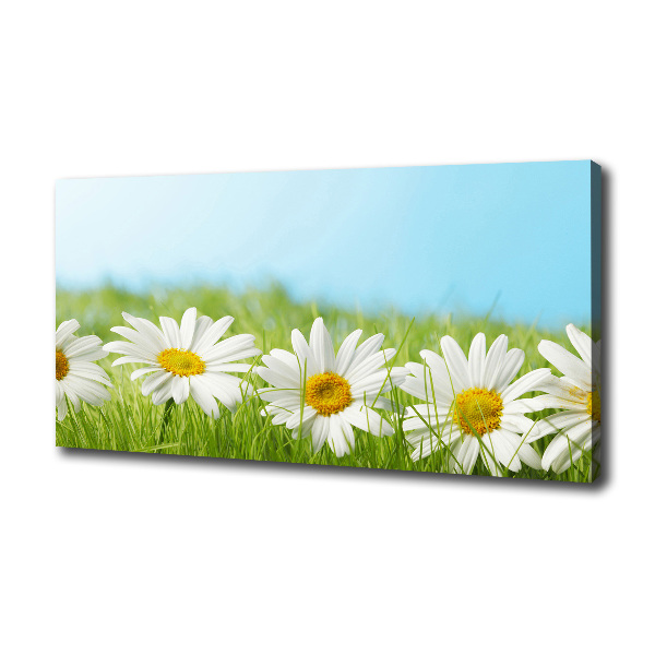 Canvas wall art Daisy