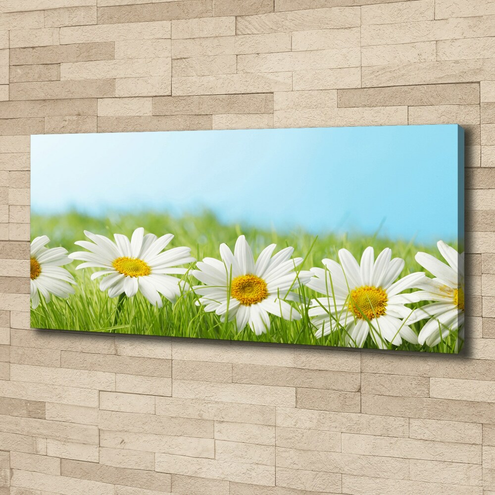 Canvas wall art Daisy