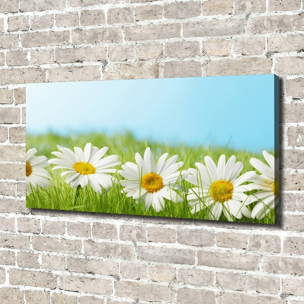 Canvas wall art Daisy