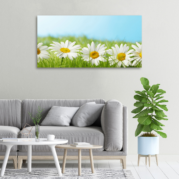 Canvas wall art Daisy