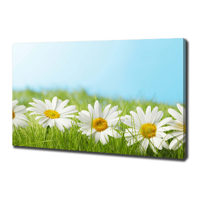 Canvas wall art Daisy