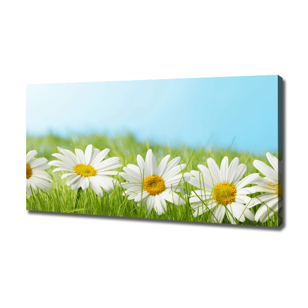 Canvas wall art Daisy