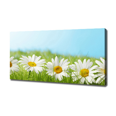 Canvas wall art Daisy