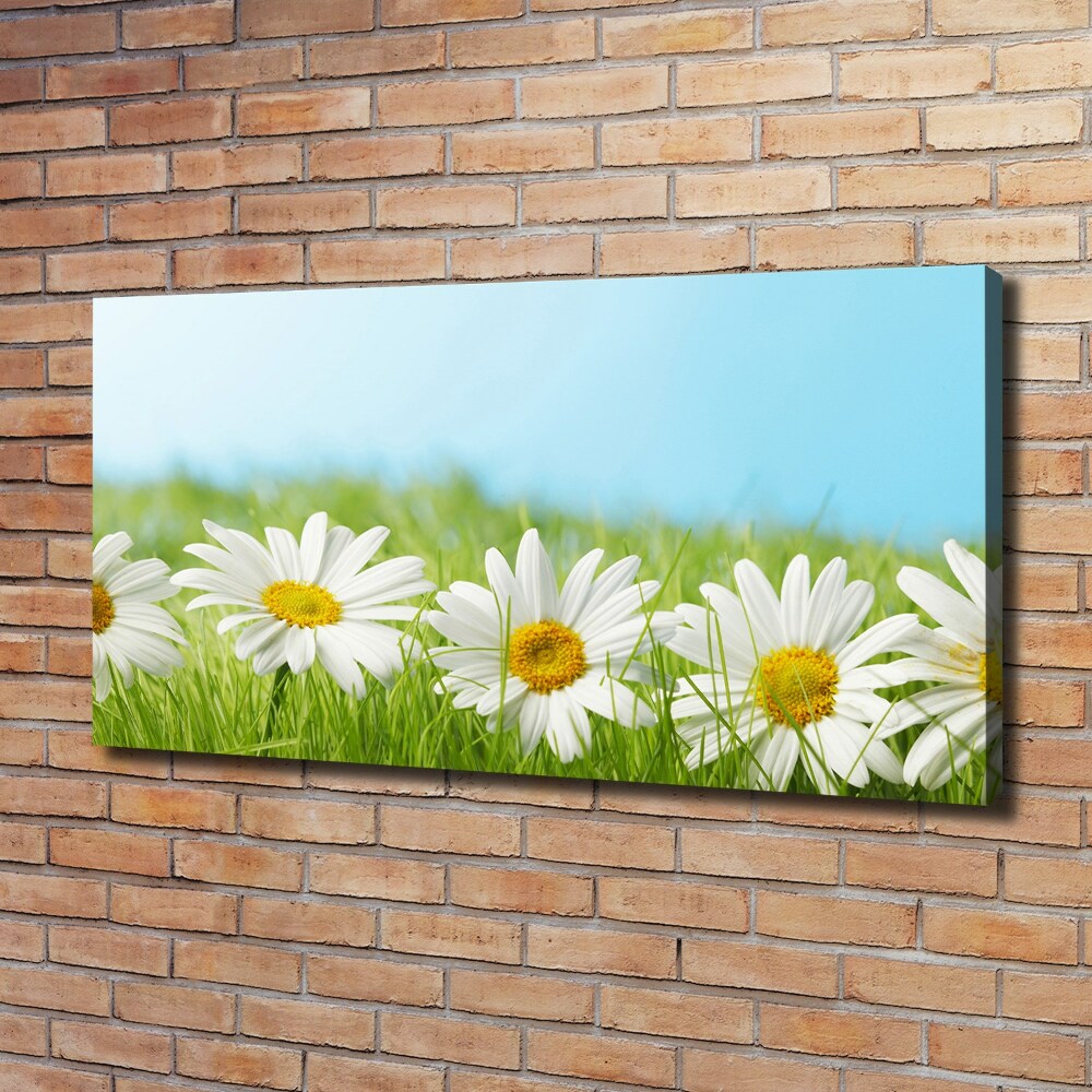 Canvas wall art Daisy