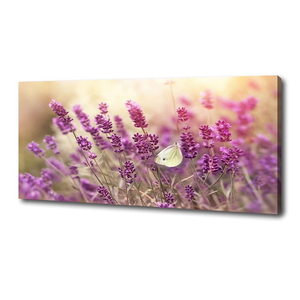 Canvas wall art Lavender