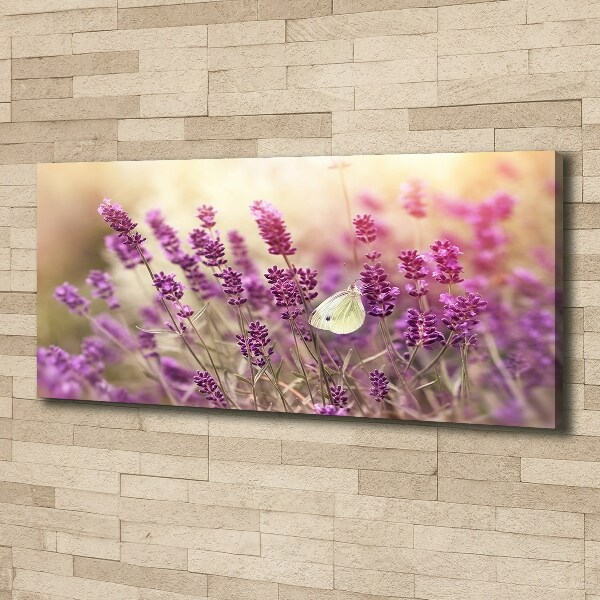 Canvas wall art Lavender