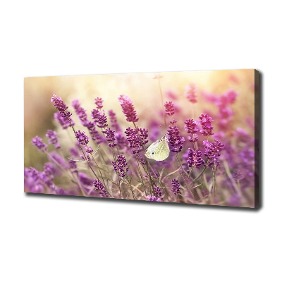 Canvas wall art Lavender