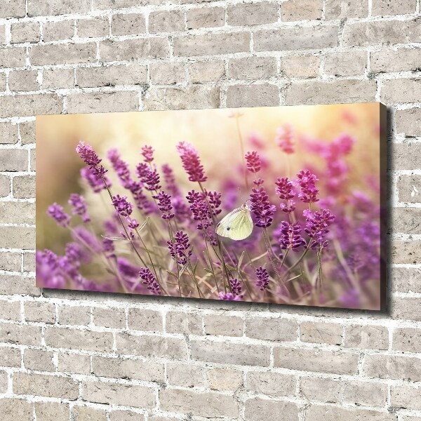 Canvas wall art Lavender