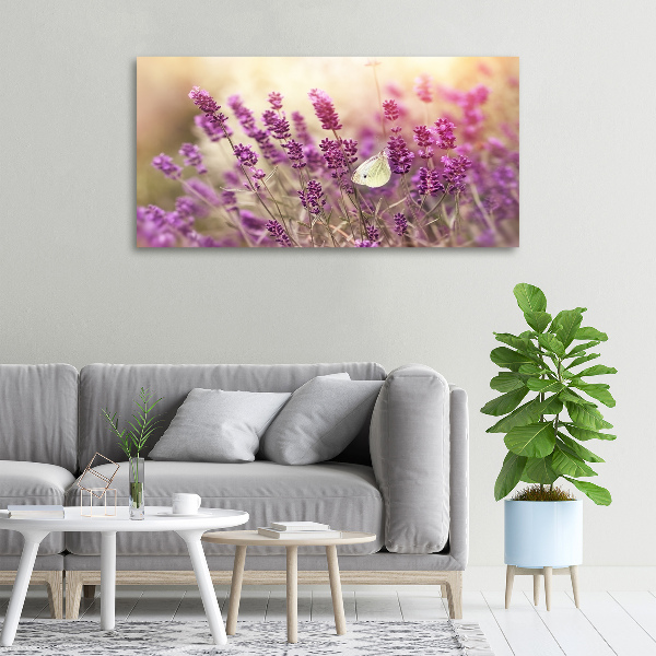 Canvas wall art Lavender