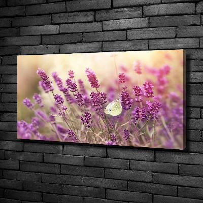 Canvas wall art Lavender