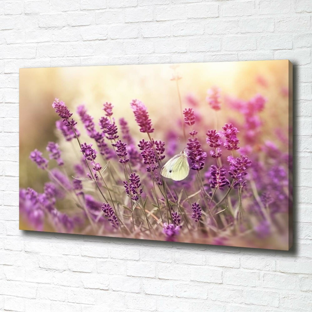 Canvas wall art Lavender