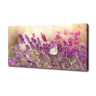 Canvas wall art Lavender