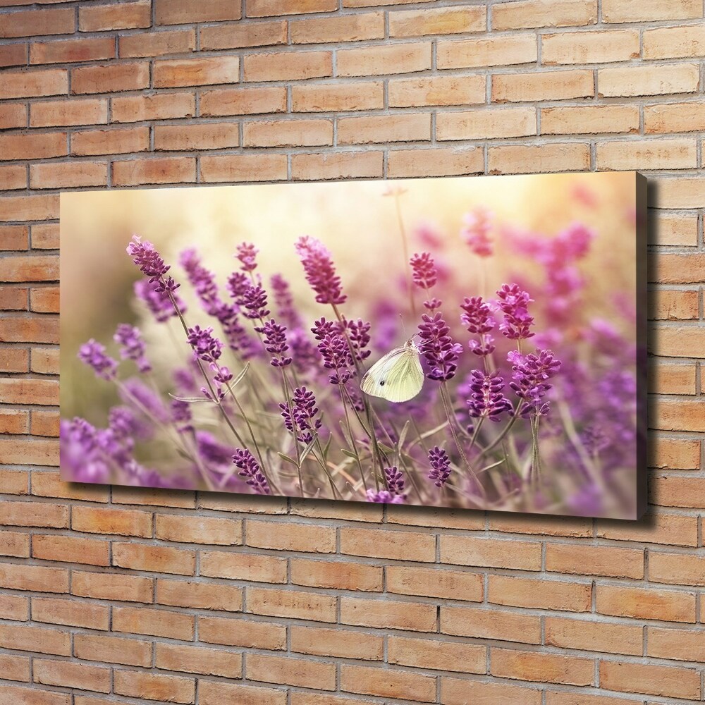 Canvas wall art Lavender