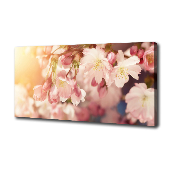 Canvas wall art Cherry blossoms