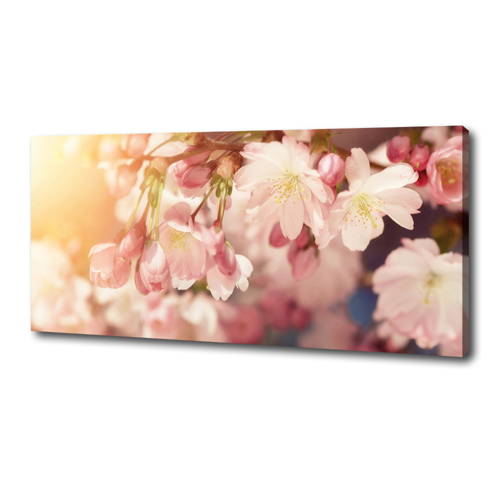 Canvas wall art Cherry blossoms