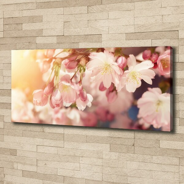 Canvas wall art Cherry blossoms